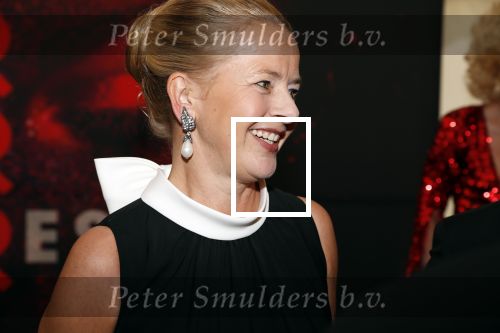 Amsterdam 25 mei 2019
Amsterdam dam diner tbv het aidsfonds in AFAS live. Prinses Mabel kwam met Viktor en Rolf
