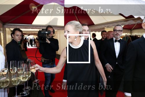 Amsterdam 25 mei 2019
Amsterdam dam diner tbv het aidsfonds in AFAS live. Prinses Mabel kwam met Viktor en Rolf