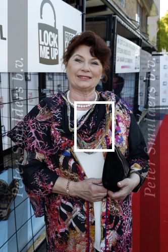 Blaricum 13 mei 2019
Free a girl gala in the red sun in Blaricum.
Richarda v Kasbergen