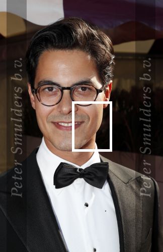 Amsterdam 25 mei 2019
Amsterdam dam diner tbv het aidsfonds in AFAS live. Rob Jetten