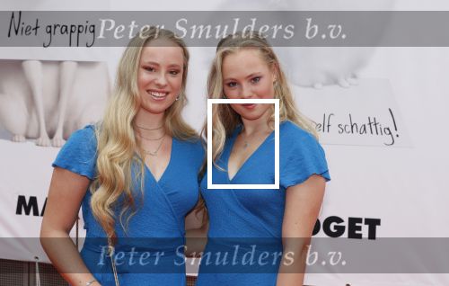 Amsterdam 2 juni 2019
Premiere huisdiergeheimen 2 in pathe arena. Rosanne en Mylene