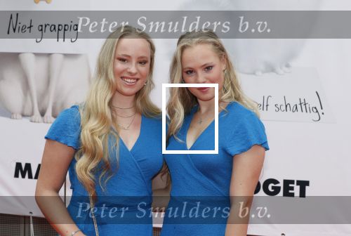 Amsterdam 2 juni 2019
Premiere huisdiergeheimen 2 in pathe arena. Rosanne en Mylene