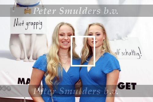 Amsterdam 2 juni 2019
Premiere huisdiergeheimen 2 in pathe arena. Rosanne en Mylene