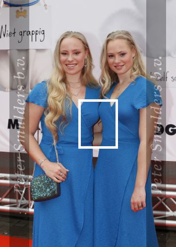 Amsterdam 2 juni 2019
Premiere huisdiergeheimen 2 in pathe arena. Rosanne en Mylene
