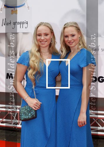 Amsterdam 2 juni 2019
Premiere huisdiergeheimen 2 in pathe arena. Rosanne en Mylene
