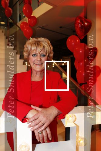 Amsterdam 21 mei 2019
iris v d Ende presnteert met haar bedrijf medialane de cast van hello Dolly met oa Simone Kleinsman Paul de Leeuw Freek Bartels Jorgen Raymann en Marjolein Touw.