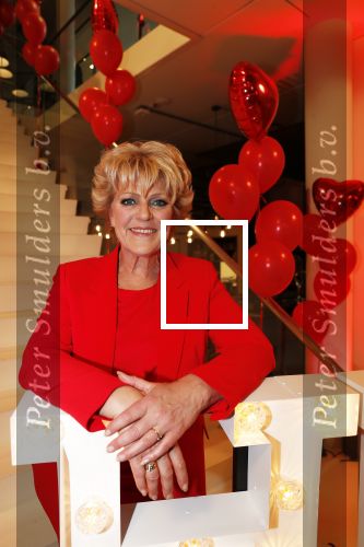 Amsterdam 21 mei 2019
iris v d Ende presnteert met haar bedrijf medialane de cast van hello Dolly met oa Simone Kleinsman Paul de Leeuw Freek Bartels Jorgen Raymann en Marjolein Touw.