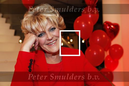 Amsterdam 21 mei 2019
iris v d Ende presnteert met haar bedrijf medialane de cast van hello Dolly met oa Simone Kleinsman Paul de Leeuw Freek Bartels Jorgen Raymann en Marjolein Touw.