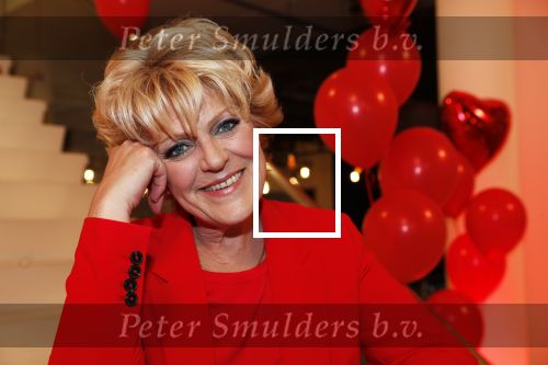 Amsterdam 21 mei 2019
iris v d Ende presnteert met haar bedrijf medialane de cast van hello Dolly met oa Simone Kleinsman Paul de Leeuw Freek Bartels Jorgen Raymann en Marjolein Touw.