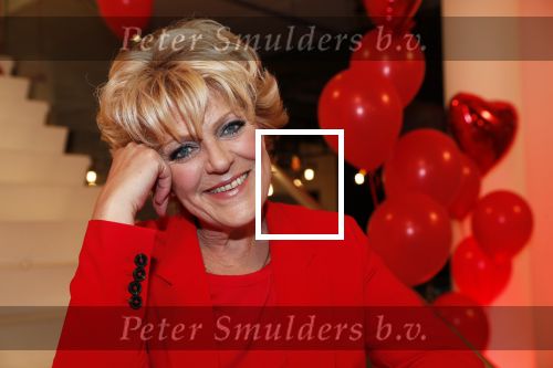 Amsterdam 21 mei 2019
iris v d Ende presnteert met haar bedrijf medialane de cast van hello Dolly met oa Simone Kleinsman Paul de Leeuw Freek Bartels Jorgen Raymann en Marjolein Touw.