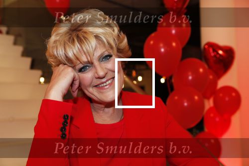 Amsterdam 21 mei 2019
iris v d Ende presnteert met haar bedrijf medialane de cast van hello Dolly met oa Simone Kleinsman Paul de Leeuw Freek Bartels Jorgen Raymann en Marjolein Touw.