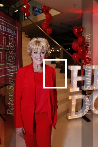 Amsterdam 21 mei 2019
iris v d Ende presnteert met haar bedrijf medialane de cast van hello Dolly met oa Simone Kleinsman Paul de Leeuw Freek Bartels Jorgen Raymann en Marjolein Touw.