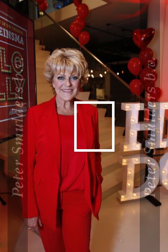 Amsterdam 21 mei 2019
iris v d Ende presnteert met haar bedrijf medialane de cast van hello Dolly met oa Simone Kleinsman Paul de Leeuw Freek Bartels Jorgen Raymann en Marjolein Touw.