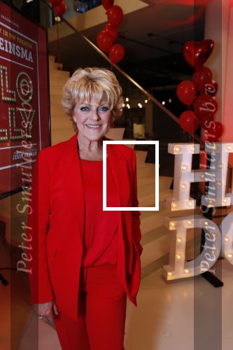 Amsterdam 21 mei 2019
iris v d Ende presnteert met haar bedrijf medialane de cast van hello Dolly met oa Simone Kleinsman Paul de Leeuw Freek Bartels Jorgen Raymann en Marjolein Touw.