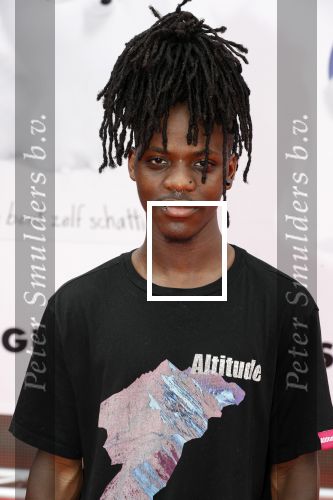 Amsterdam 2 juni 2019
Premiere huisdiergeheimen 2 in pathe arena. Valentino Kemper