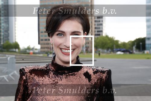 Amsterdam 25 mei 2019
Amsterdam dam diner tbv het aidsfonds in AFAS live. Vivienne v d Assem