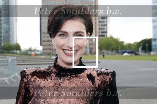 Amsterdam 25 mei 2019
Amsterdam dam diner tbv het aidsfonds in AFAS live. Vivienne v d Assem