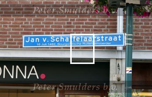 Hilversum Barneveld 13 juni 2020
Thierry Baudet gaat het land in om de krantjes van Forum voor democratie uit te delen. Zijn vriendin Davide legt alles vast met haar camera.