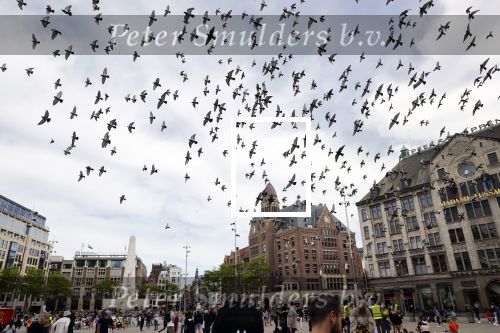 Amsterdam 1 juni 2020
Demonstratie op de dam tegen politiegeweld tegen donkere mensen naar aanleiding van de dood van George Floyd door poltieman in USA