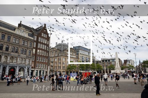 Amsterdam 1 juni 2020
Demonstratie op de dam tegen politiegeweld tegen donkere mensen naar aanleiding van de dood van George Floyd door poltieman in USA