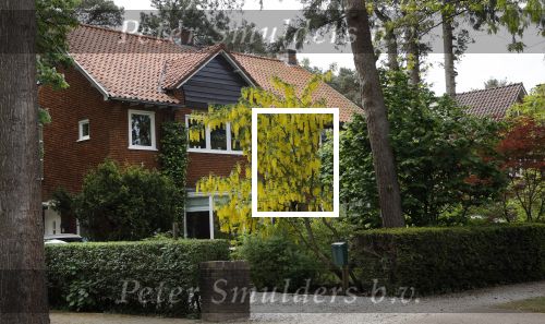 Zeist 16 mei 2020
Huis van NPO baas Marcel Gelauff
