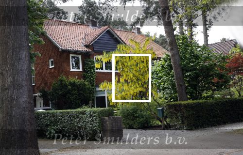 Zeist 16 mei 2020
Huis van NPO baas Marcel Gelauff