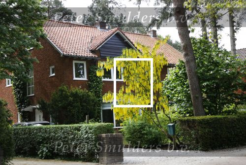Zeist 16 mei 2020
Huis van NPO baas Marcel Gelauff