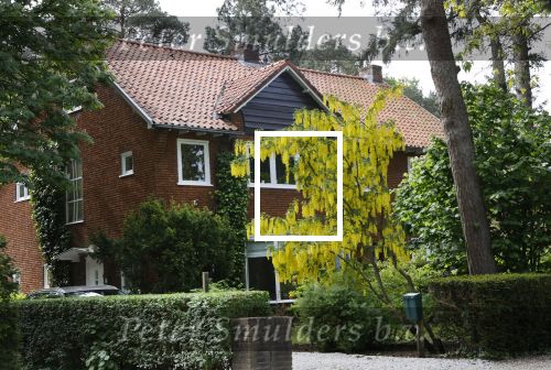 Zeist 16 mei 2020
Huis van NPO baas Marcel Gelauff