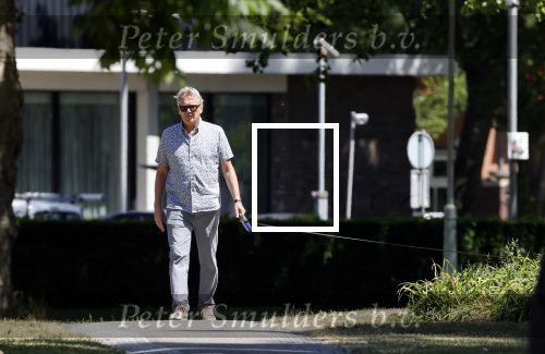 Amsterdam 29 mei 2020
Tom Egbers laat zijn hond uit.