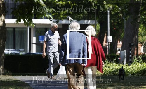 Amsterdam 29 mei 2020
Tom Egbers laat zijn hond uit.
