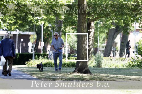 Amsterdam 29 mei 2020
Tom Egbers laat zijn hond uit.