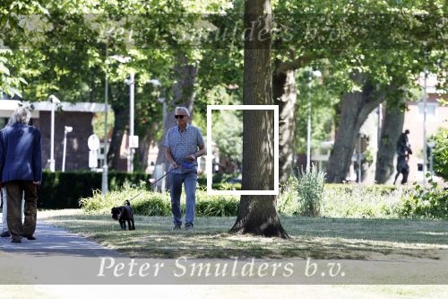 Amsterdam 29 mei 2020
Tom Egbers laat zijn hond uit.