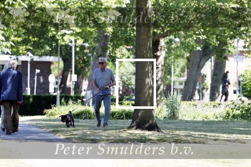 Amsterdam 29 mei 2020
Tom Egbers laat zijn hond uit.