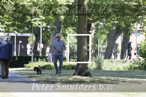 Amsterdam 29 mei 2020
Tom Egbers laat zijn hond uit.