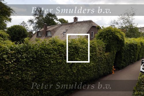 Soest 12 mei 2020
Wilfred Genee gaat vanuit zijn huis naar de plaatselijke kapper. IVM corona waren de kapasalons 2 maanden gesloten .