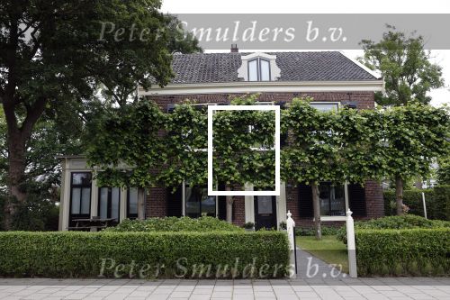 Loenen 9 juni 2020
Huis Yvon Jaspers
