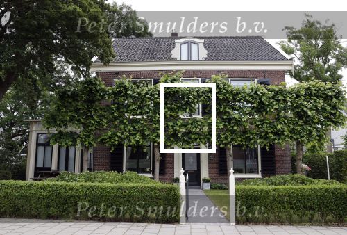 Loenen 9 juni 2020
Huis Yvon Jaspers