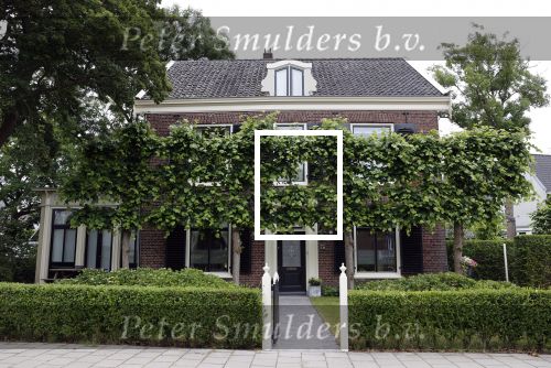 Loenen 9 juni 2020
Huis Yvon Jaspers