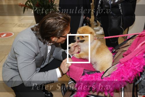 Amstelveen 27 mei 2021
Opening Yoyo tea bar van Rachel Hazes in winkelcentrum Amstelveen.
Andre Hazes zijn vriendinSarah v Soelen en haar ouders zijn ook aanwezig.