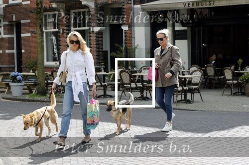 Amsterdam 29 mei 2021
Annekee Molenaar en haar moeder met de honden in Amsterdam zuid.