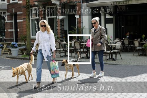 Amsterdam 29 mei 2021
Annekee Molenaar en haar moeder met de honden in Amsterdam zuid.