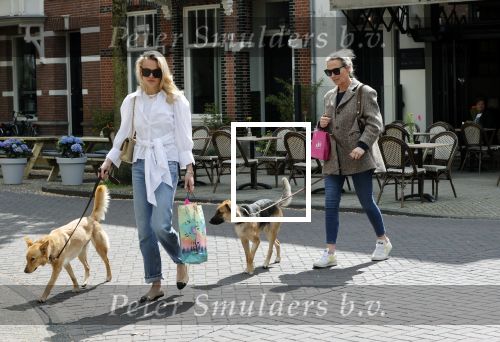 Amsterdam 29 mei 2021
Annekee Molenaar en haar moeder met de honden in Amsterdam zuid.