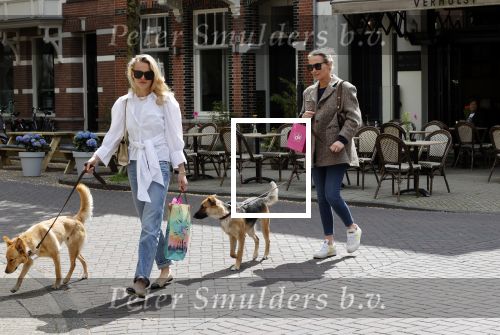 Amsterdam 29 mei 2021
Annekee Molenaar en haar moeder met de honden in Amsterdam zuid.