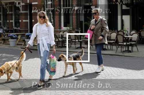 Amsterdam 29 mei 2021
Annekee Molenaar en haar moeder met de honden in Amsterdam zuid.