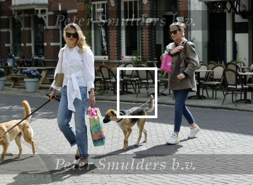 Amsterdam 29 mei 2021
Annekee Molenaar en haar moeder met de honden in Amsterdam zuid.