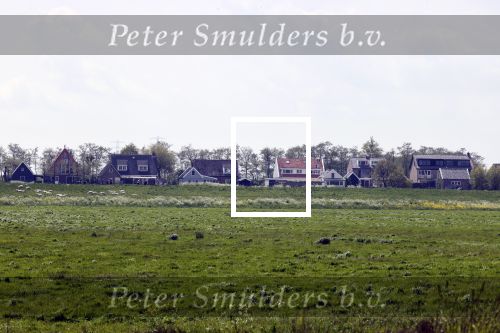 Broek en Waterland 20 mei 2021
Politie doet onderzoek naar de schietpartij/overval in Broek en Waterland . oa Karin Bloemen en boer Geet Jan v Meerveld wonen daar.