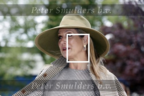 Weesp 26 mei 2021
Koningin Maxima bezoekt de firma Smit&zoon die dit jaar 200 jaar bestaan. Maxima draagt mondkapje en een nieuwe armband die ze van haar man Koning Willem Alexander heeft gehad voor haar 50e verjaardag.