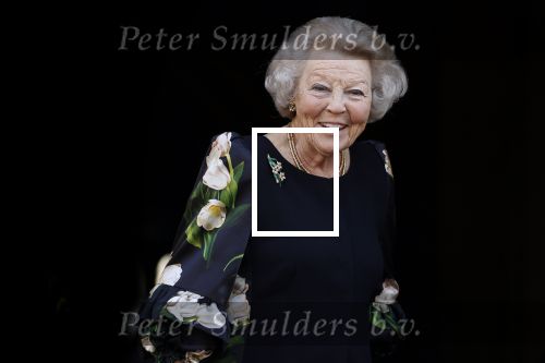 Amsterdam 4 juni 2021
Prinses Beatrix bij de Prins Bernhard cultuur prijs in Paleis op de dam.