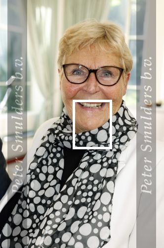 Den Haag 9 juni 202
Erica Terpstra krijgt een belangrijke onderscheiding uit handen van de Japanse Ambassadeur . Alles speelde zich af op de Japanse Ambassade in Den Haag. Ada Kok met haar man Mat