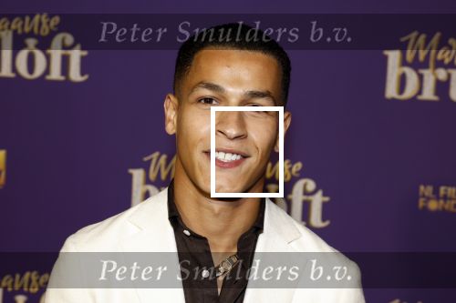 Amsterdam 30 mei 2022
Premiere Marokkaanse bruiloft in Tuschinski met oa als castleden Samouya Ahouaoui Walid Benmbarek Pip Pellens Liza Sips en Nabil Aouled Ayad in tuschinski. Bilal Wahib